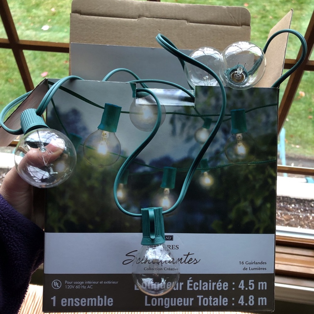 Never Used String Globe Lights